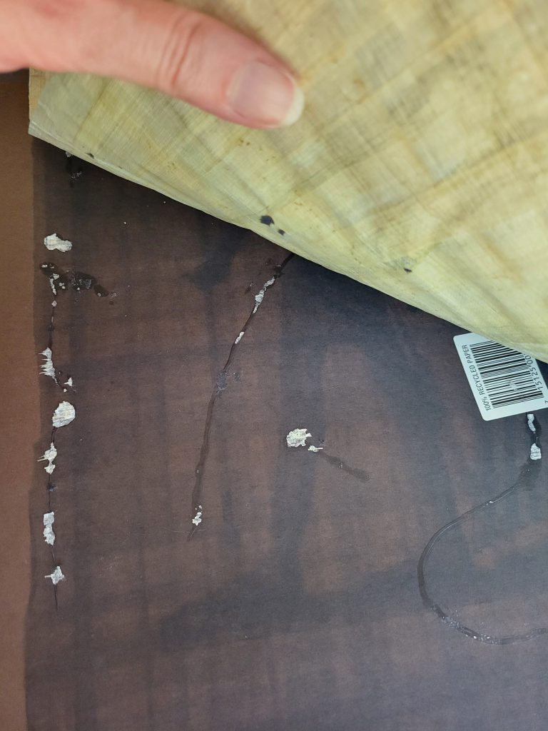 I took this photo as I was working on separating the art from the backing. Notice the glue streaks, the faded black posterboard and the remnants of papyrus material stuck to the posterboard, and pieces of posterboard stuck to the papyrus.