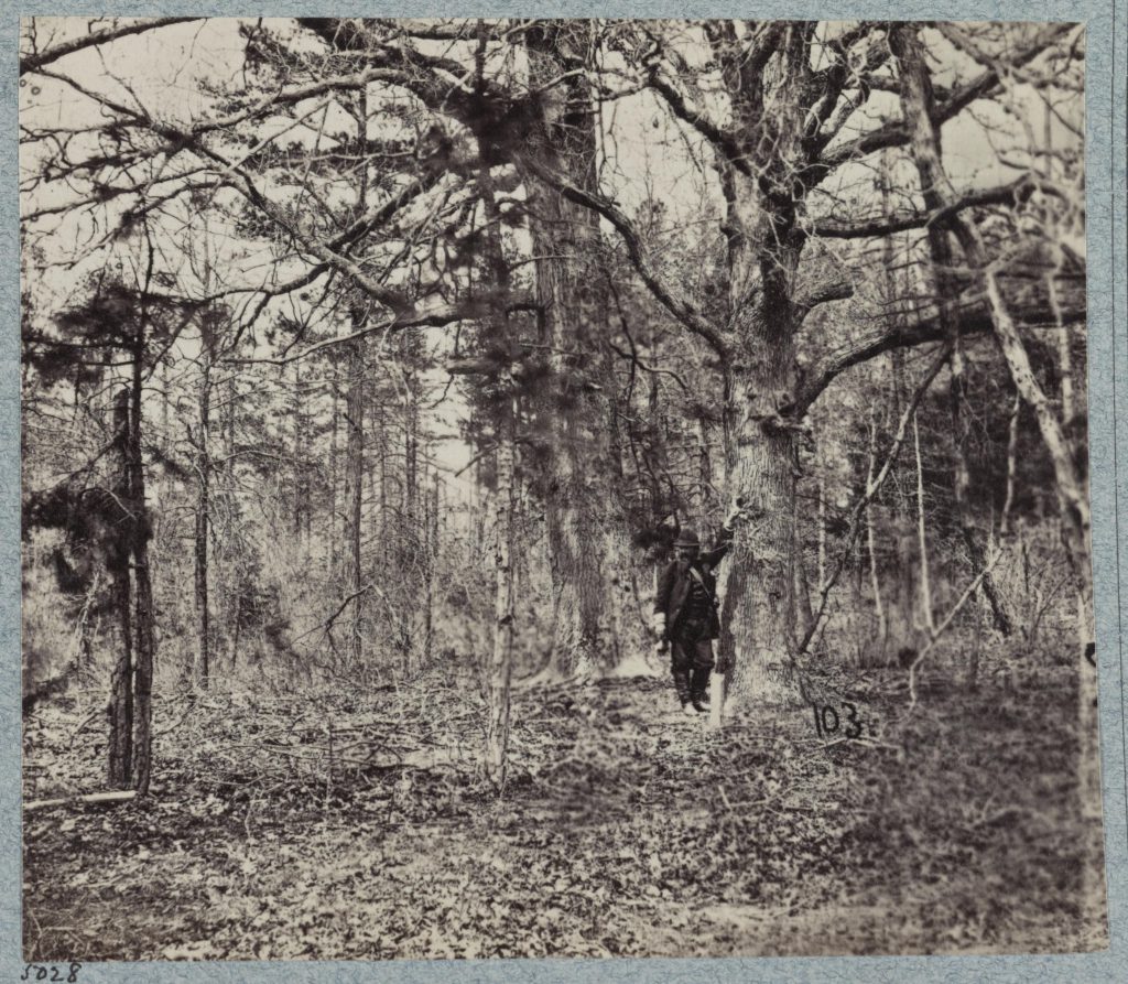 View on the Battlefield of Spotsylvania Court House taken on May 12, 1864. Cornelius Van Houten and the 1st New Jersey Light Artillery fought at this battle.